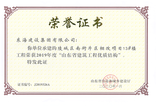 陵城區南街片區棚改項目13#樓工程榮獲2019年度“山東省建築工程優質結構”